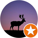 Dennis Hirschhäuser