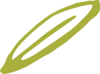 150 - 111 Sta Margherita One Leaf